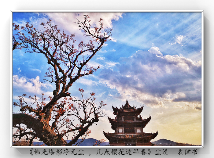 025《佛光塔影凈無塵 ，幾點櫻花迎早春》.jpg