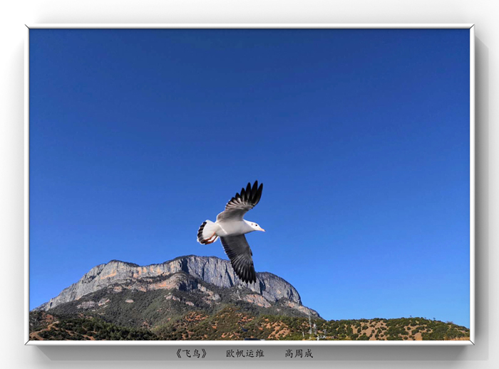 微信圖片_20200510071951.jpg 微信圖片_20200510071951.jpg